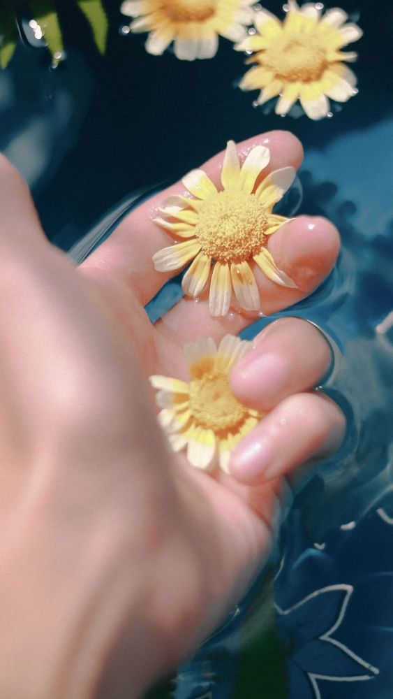 高清个性壁纸|抖音壁纸潮图