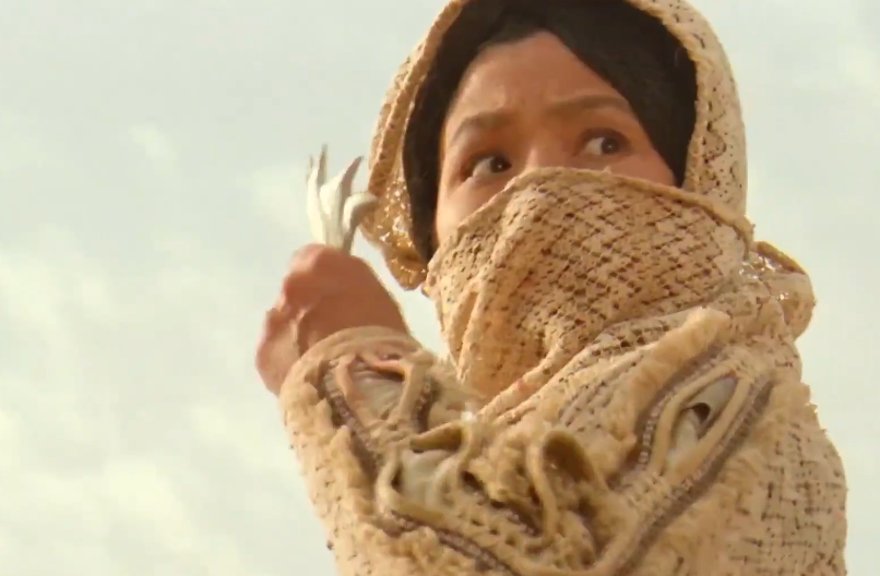 打定主意之后,柳如燕悄悄离开了"翻云寨",乔装打扮