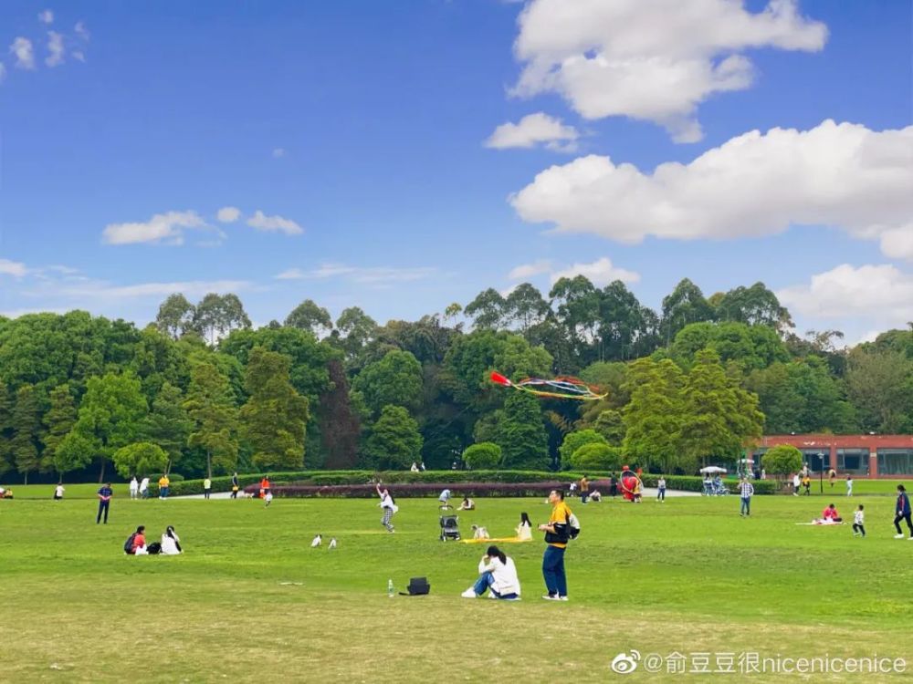 走得遠一點的話新津斑竹林公園春日郊遊好去處超大草坪,竹林環繞圖源