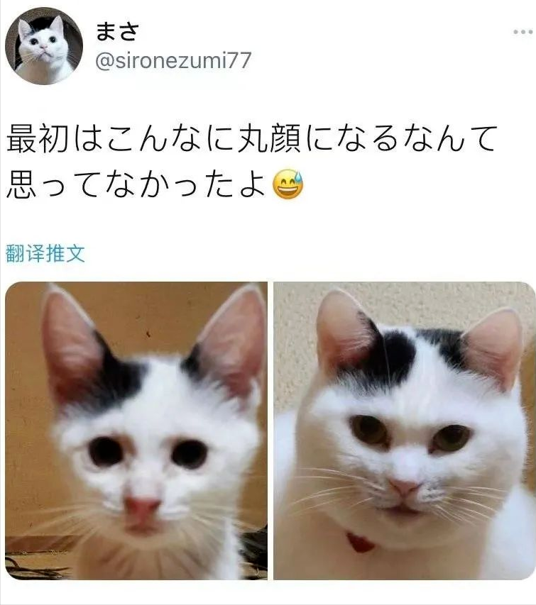 搞笑图文香蕉君蕉之诱惑哈哈哈哈哈哈哈哈哈哈