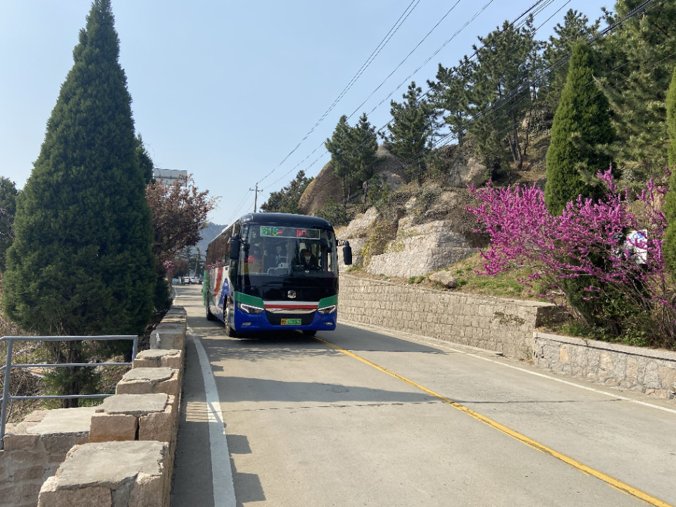 沿途的风景都没看到,这不又约了几个好姐妹准备坐公交车去欣赏着一路