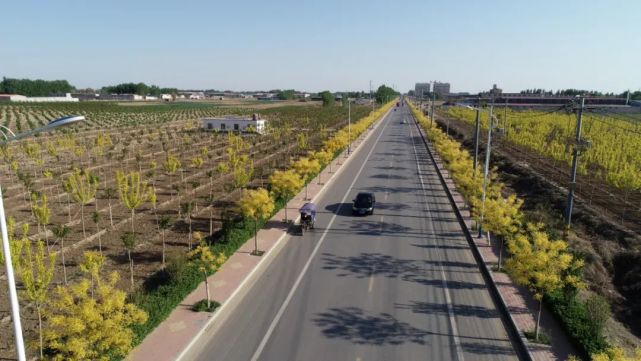 探访国家级特色小镇建设示范乡镇高阳县庞口镇——农机小镇,风景这边