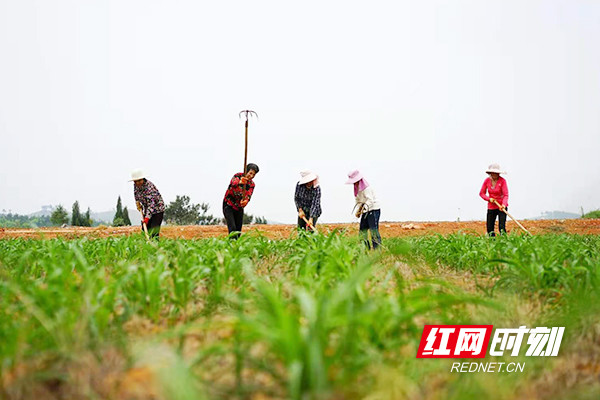 祁东人口有多少人_湖南衡阳市祁东县农村小学招聘100人