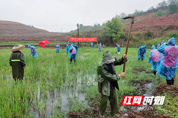 衡南松江镇:党史教育映初心 为民办事解难题|松江镇|尹秀财|衡南县