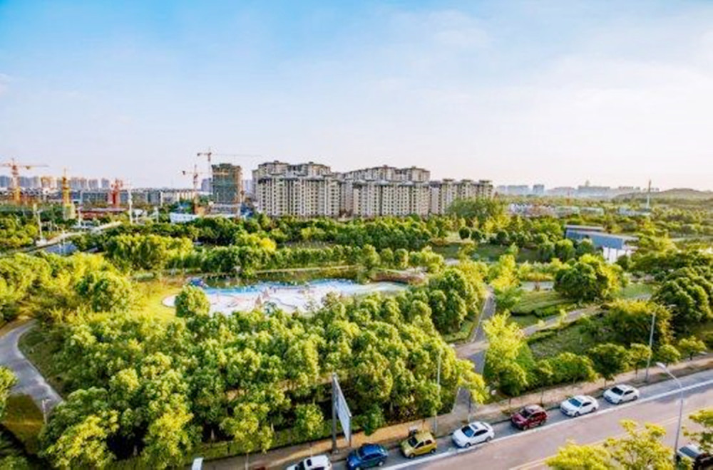 第三个地方就是芜湖中江公园,人们又习惯称之为芜湖中央公园,它位于