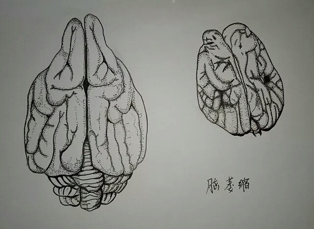 13岁女孩大脑萎缩医生怒斥孩子在青春期2物不能天天吃