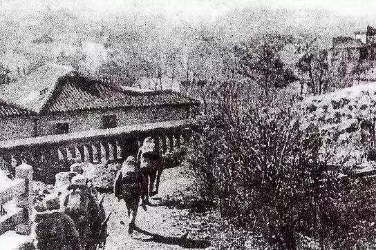 带你了解豫南会战