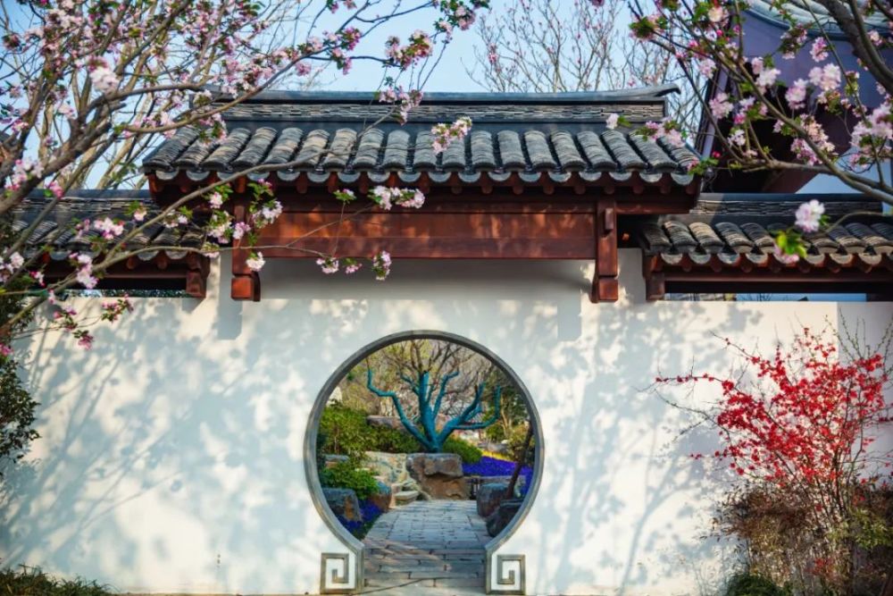 还原了沧浪亭的震撼与壮观苏州园依山傍水在南京园的北边常州园,无锡