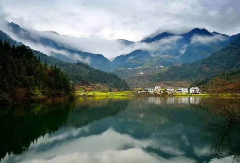 芳村荷花——金智華/攝△箬坑鄉馮家頂望得見山,看得見水留得住鄉愁一