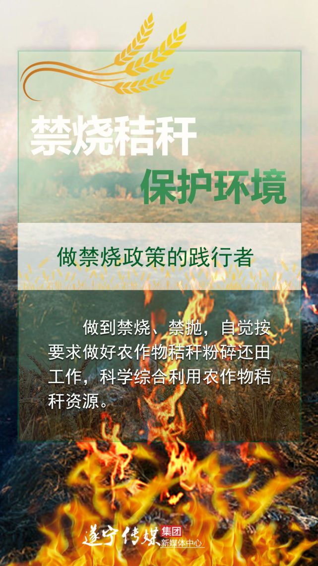 海报向秸秆焚烧说不守护遂宁蓝