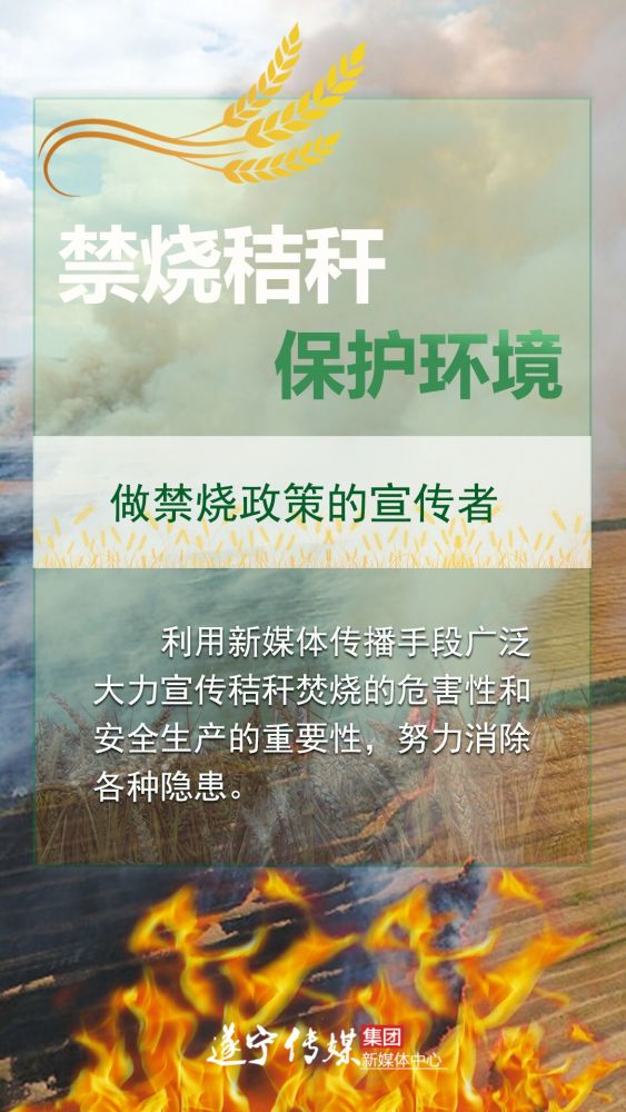 海报向秸秆焚烧说不守护遂宁蓝