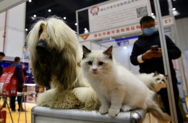 萌宠来了2021中部郑州宠物水族博览会暨中部小动物医师大会盛大开幕