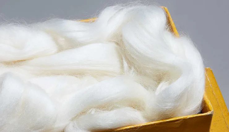 新疆长绒棉的前世今生