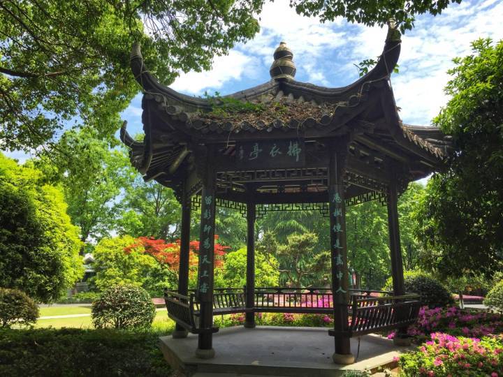 作者〗杭州市五云山医院,周祝安