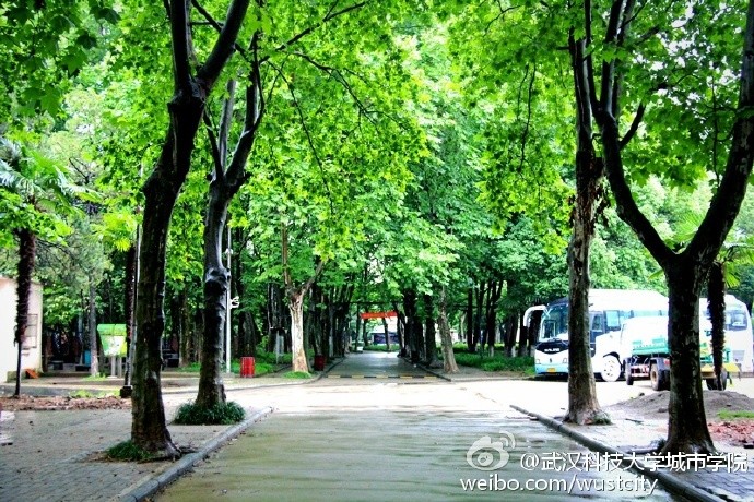 大专排行榜_2021云南专科学校排名