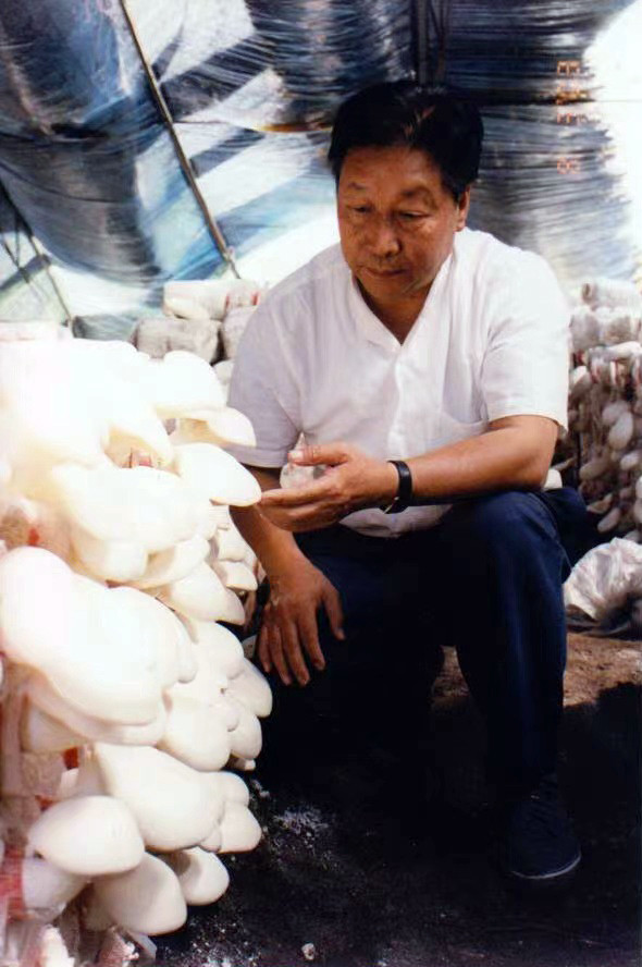 新华全媒东西合作结硕果菌草之父的新使命