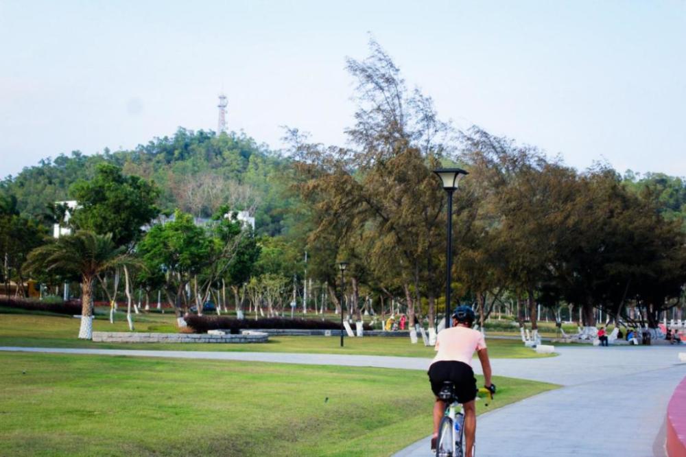 阳光,沙滩……淇澳南芒湾公园这个 好去处,不会让你失望