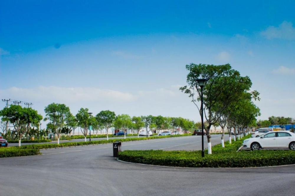 阳光,沙滩……淇澳南芒湾公园这个 好去处,不会让你失望