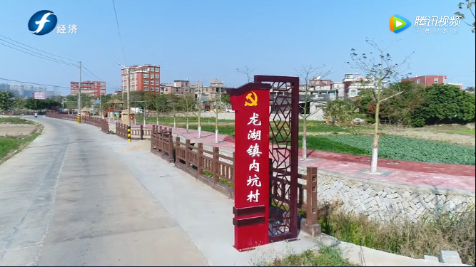 今日八闽走进晋江市龙湖镇内坑村