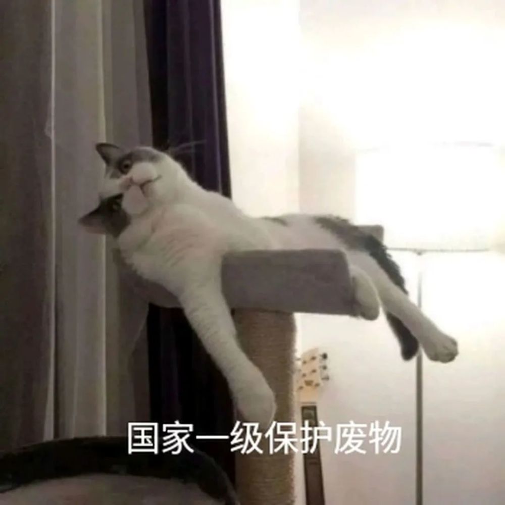 答疑家境贫寒的大一医学生可以帮我推测一下未来十年吗