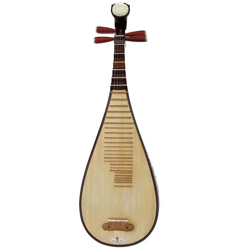 不仅是因为它具有丰富的表现力,而且因为琵琶指法种类繁多,记载入册的