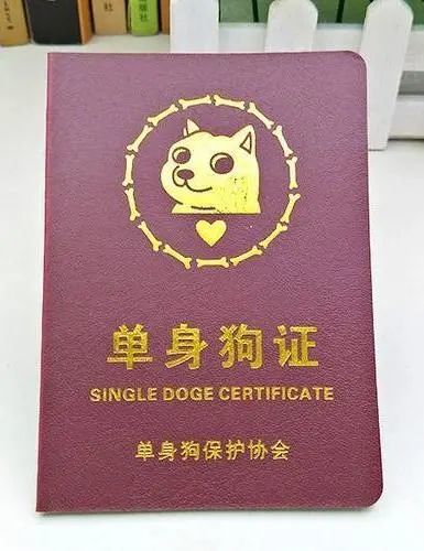 作为单身狗的你们 是不是已经拿到这边小册子呢