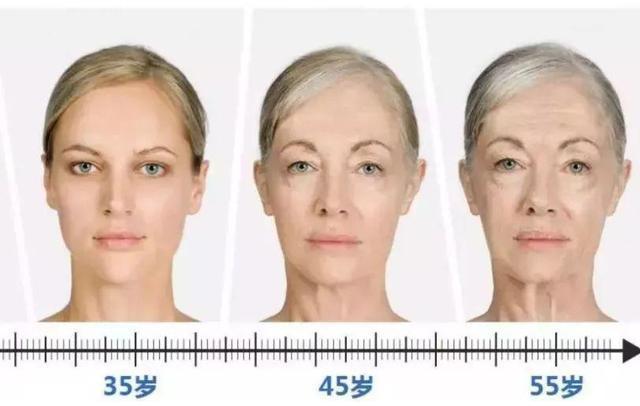 女性每个年龄段衰老图图片