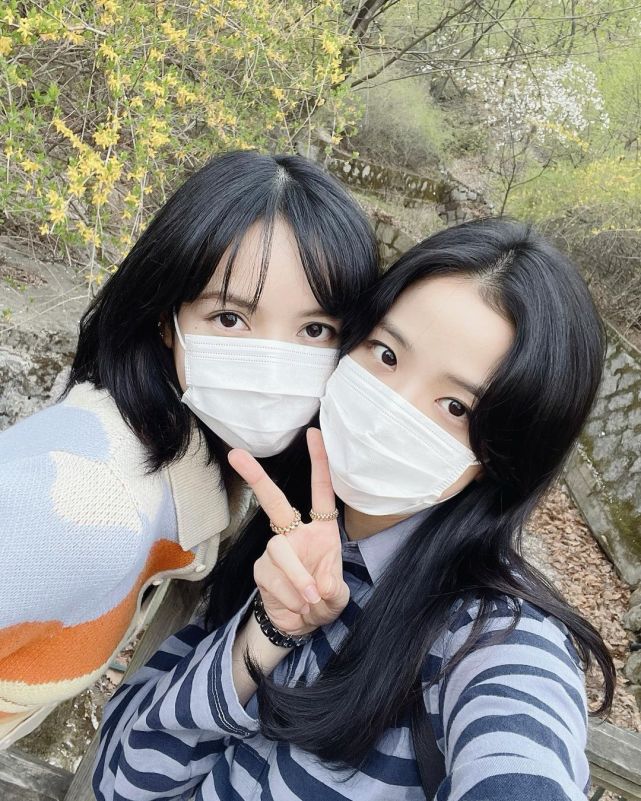 lisa和jisoo去一起看樱花啦约会互拍太美好了