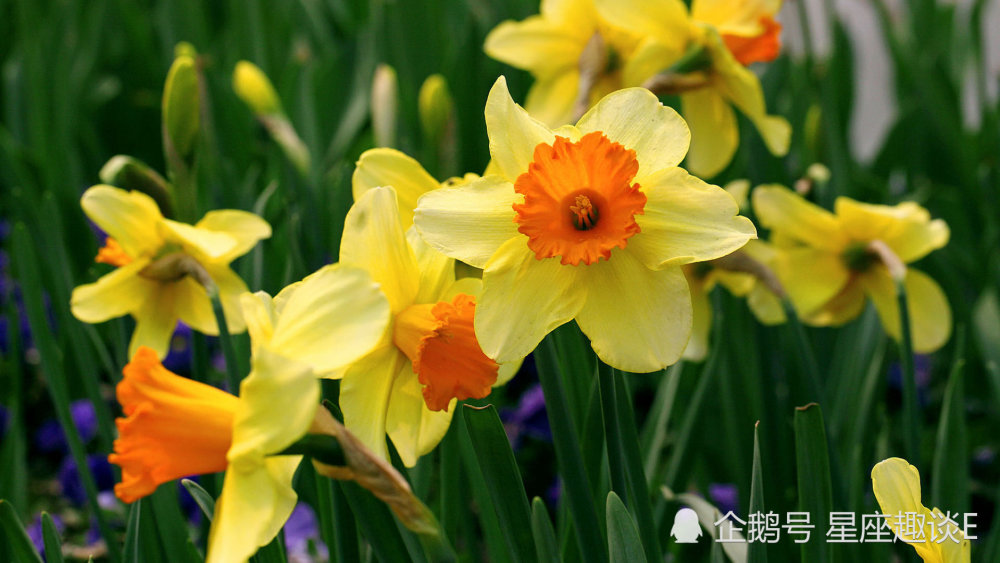 4月10日星座运势 不惧艰险 扬帆起航的四大星座 腾讯新闻
