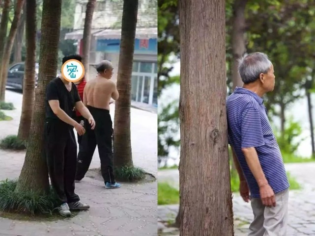 如何锻炼的,自己就如何锻炼,最近发现公园里不少老年人开始"撞树锻炼"