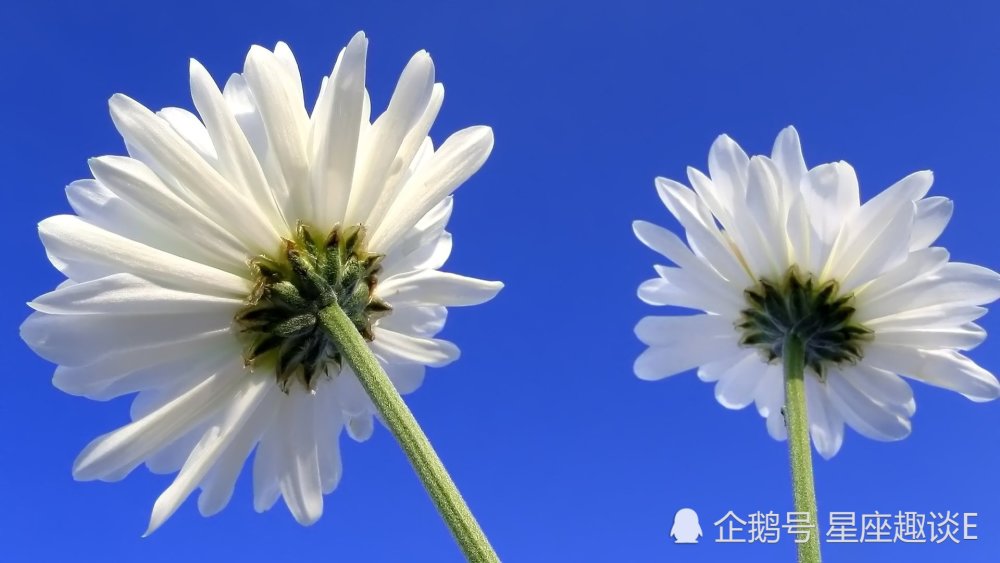 4月10日星座运势 双子突破瓶颈 狮子升职加薪 水瓶发挥实力 腾讯新闻