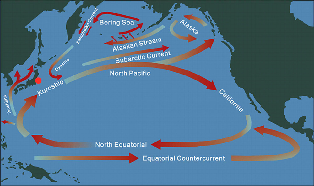 核废水直排入海,那么在日本东北部海水的核污染指数将爆表,随着洋流的