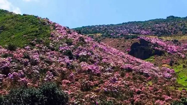 生土长东川人,原东川矿务局落雪矿保卫科经警队工作,九三年调玉溪至今