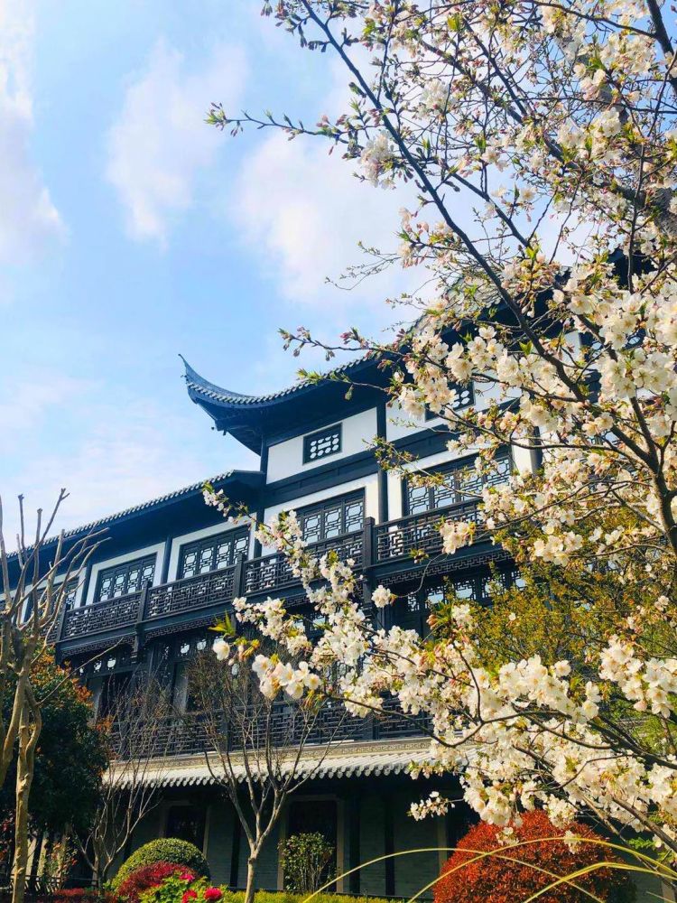 它更像一个景点2021 · spring equinox双人度假套餐上海皇廷花园酒店