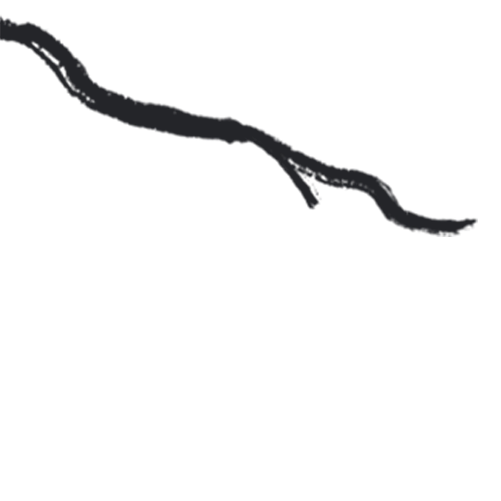 美好的春天 拍了拍 你 青岛西海岸 春游来这里 腾讯新闻