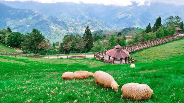 台湾三大旅游胜地有哪些 海堤湿地 高山牧场 清代q版小书生 腾讯新闻