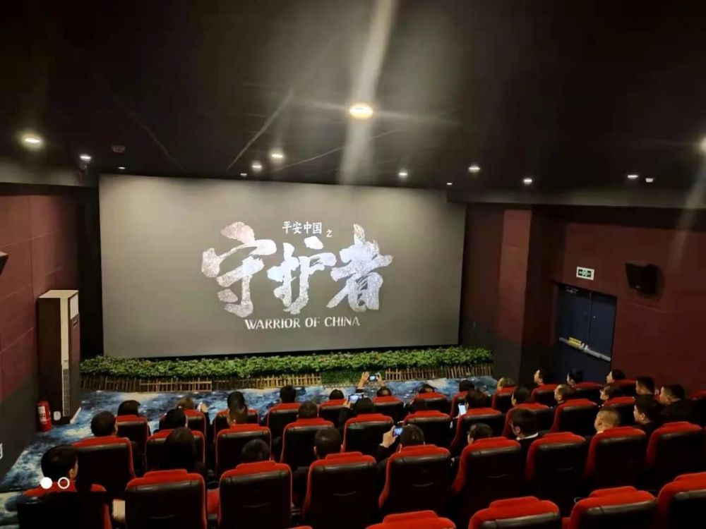 教育整顿丨志丹法院组织法官干警观看影片平安中国之守护者