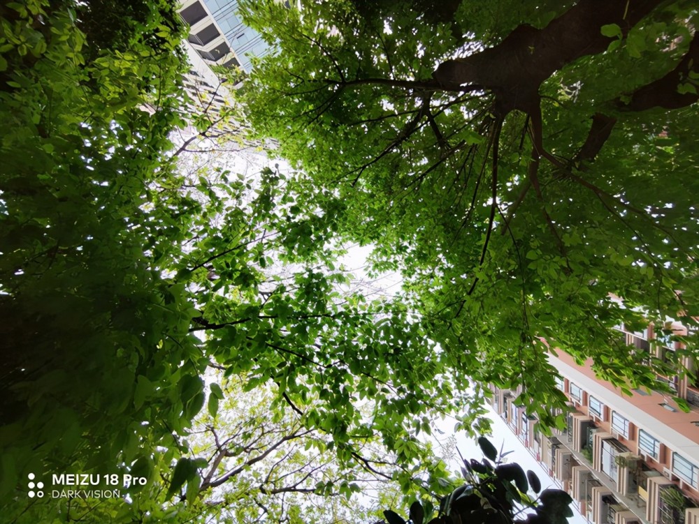 士别三日当刮目相待魅族18pro影像实力已超三星华为