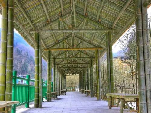 远离喧嚣回归宁静感受青川竹溪谷的悠闲舒适