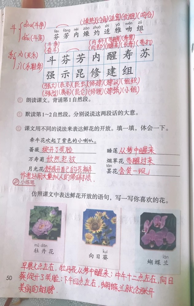 三年级语文下册十三课花钟课文笔记孩子预习的好帮手