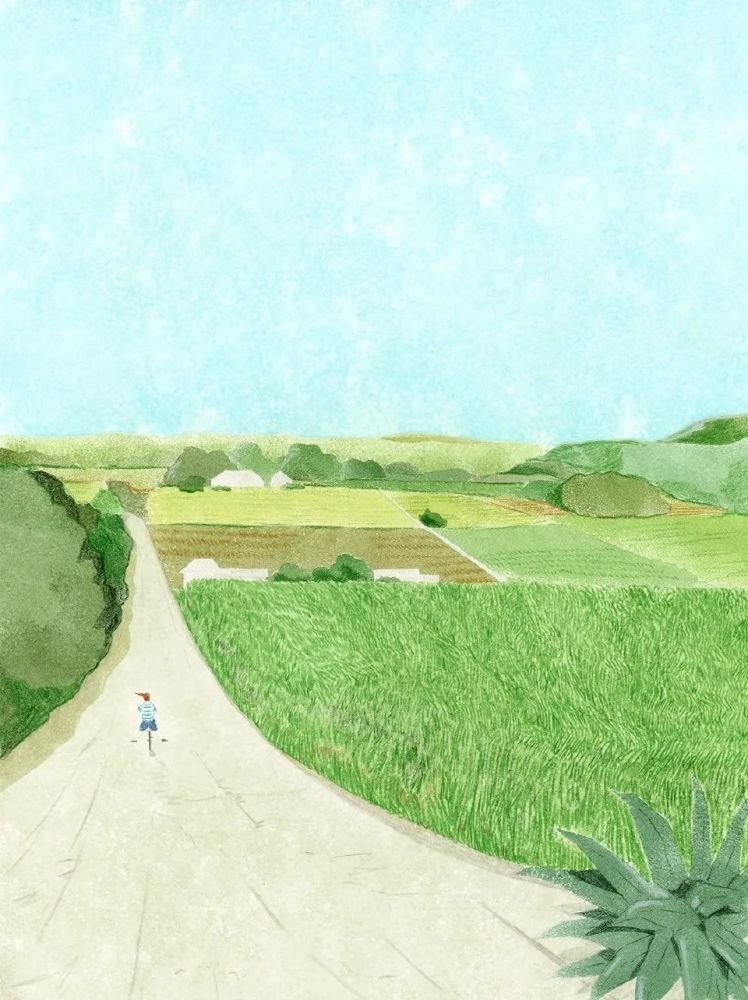 一份春日治愈系插画,请查收