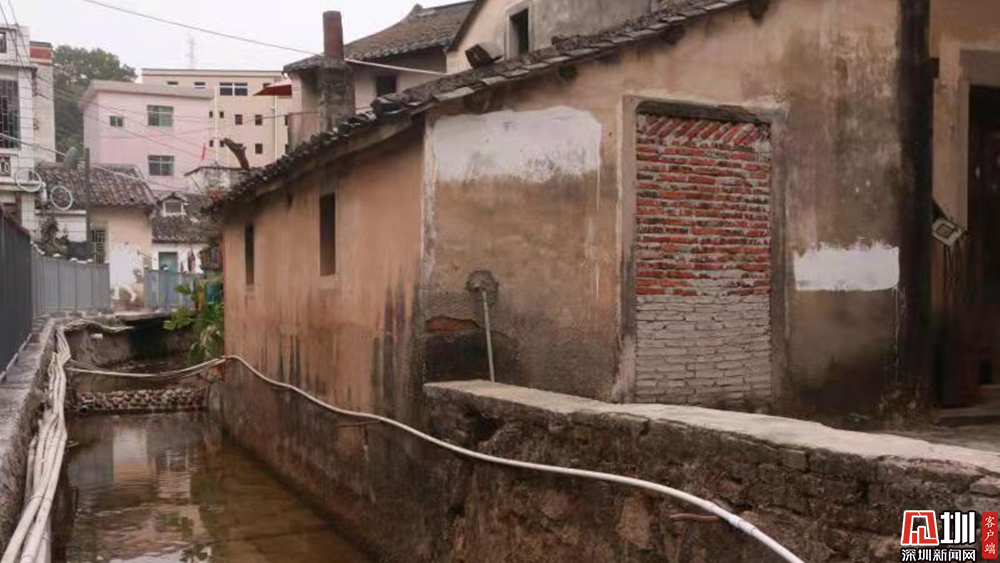 回眸十三五深圳治水樟坑径河成功逆袭上围村蝶变