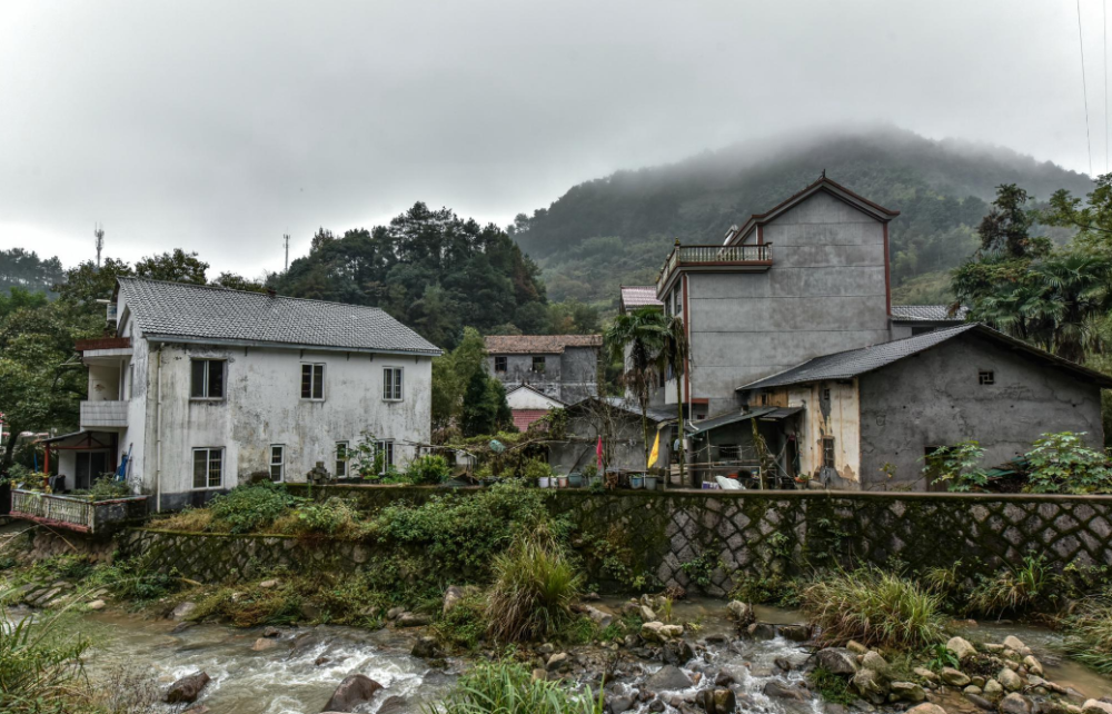 浙江丽水市缙云县五云镇周村的两户人家是本文的主角,他们一户姓曹,一