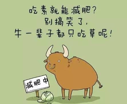 關於減肥的說說加圖片