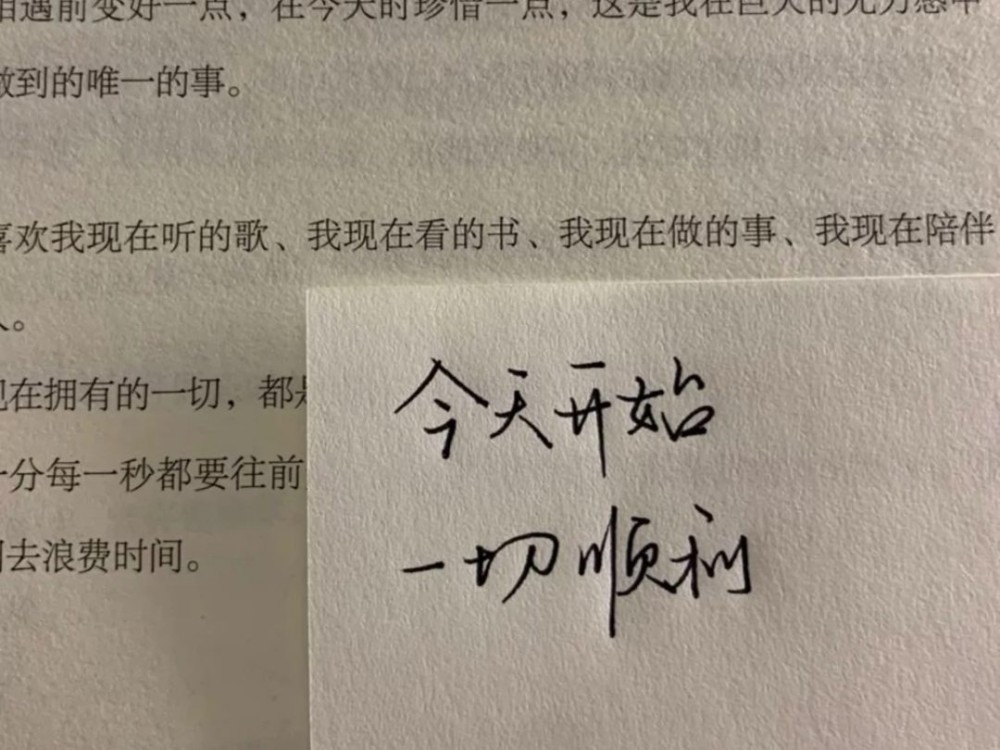 网易云文案谁也没有规定一朵花必须长成向日葵或者玫瑰励志篇