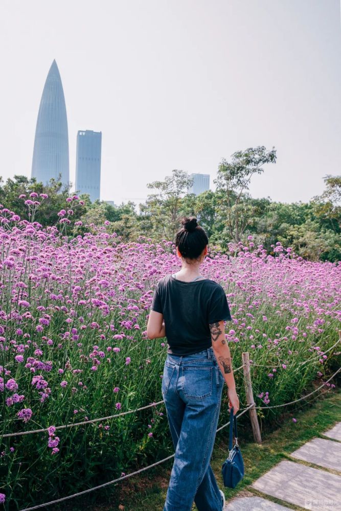 在花田中闲庭信步随意抓拍一张背影都充满了闲适感镜头凑近些能拍到五