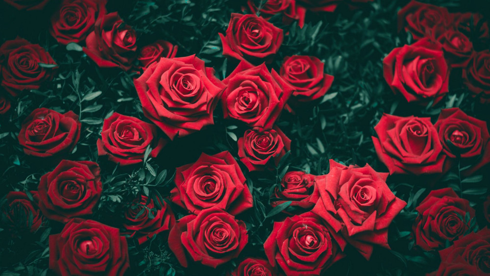 5天之后 桃花运越来越好的星座 先别忙着高兴 小心烂桃花 腾讯新闻