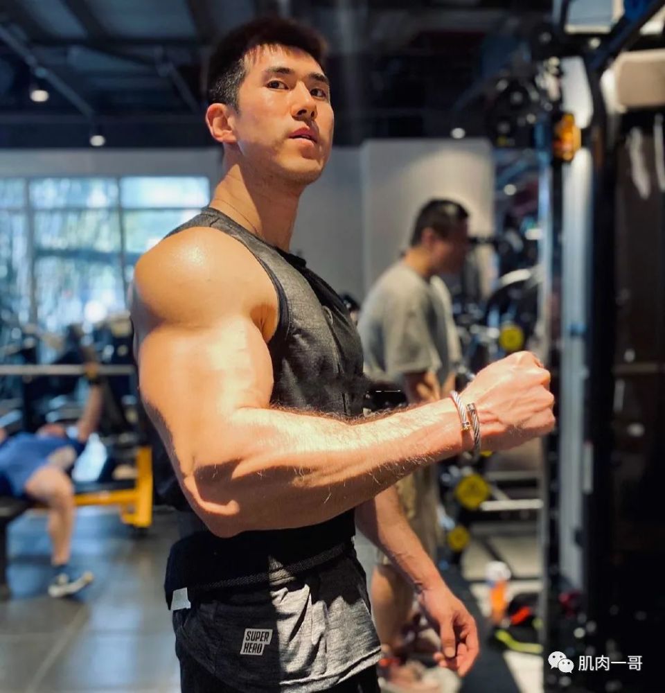 185cm肌肉版赵又廷火了这肉体谁顶得住啊