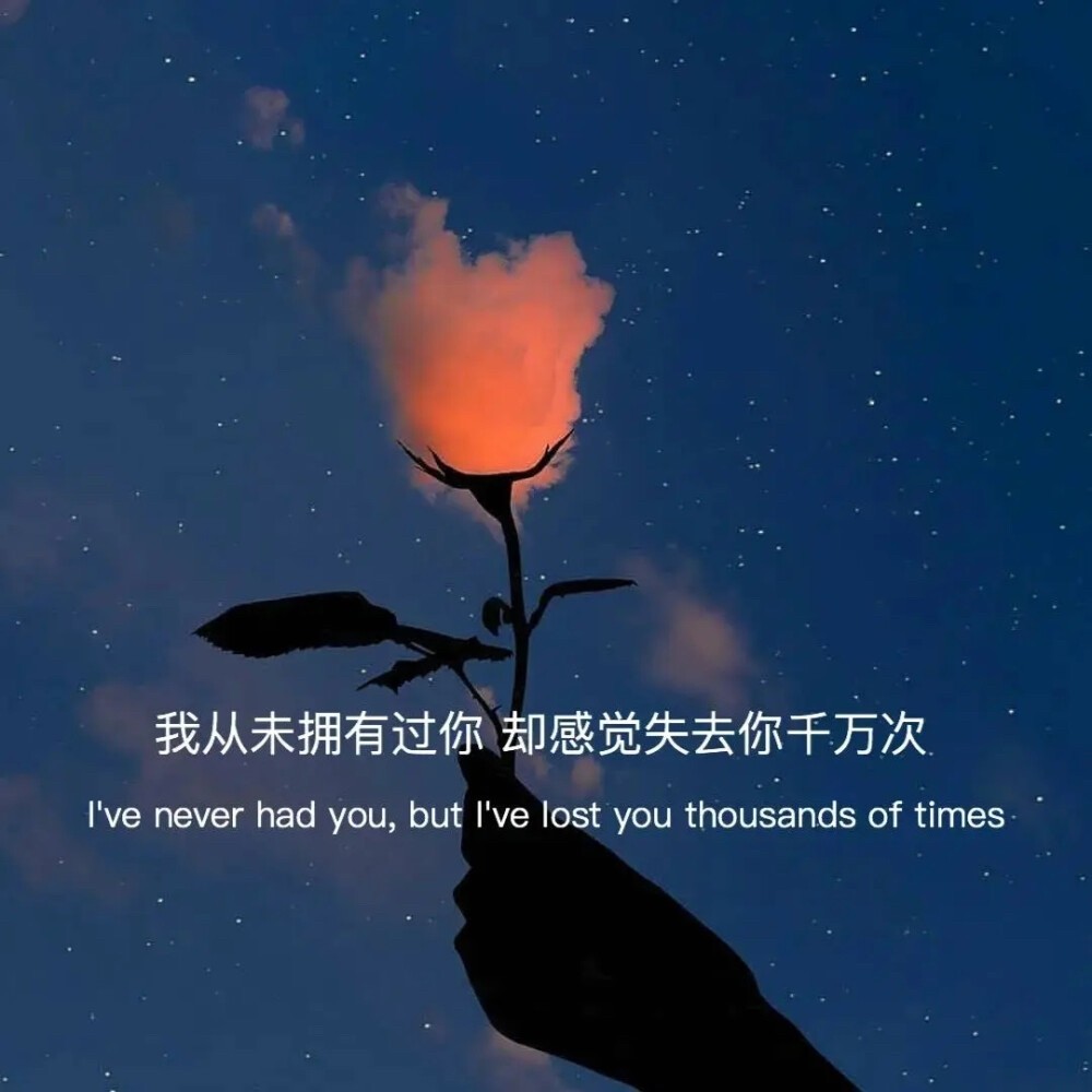 文案背景图:真心可能是这个世界最难得的东西吧