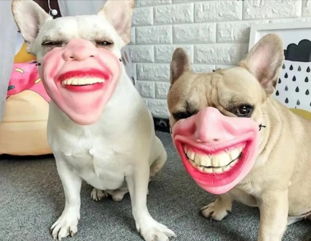 淘宝百万寻雕,笑掉大牙的骚操作